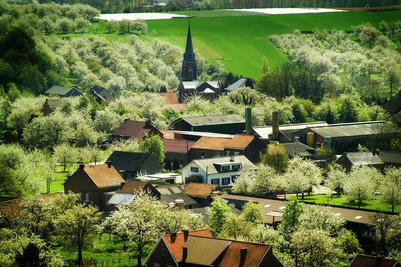 foto dorp Haspengouw, Limburg